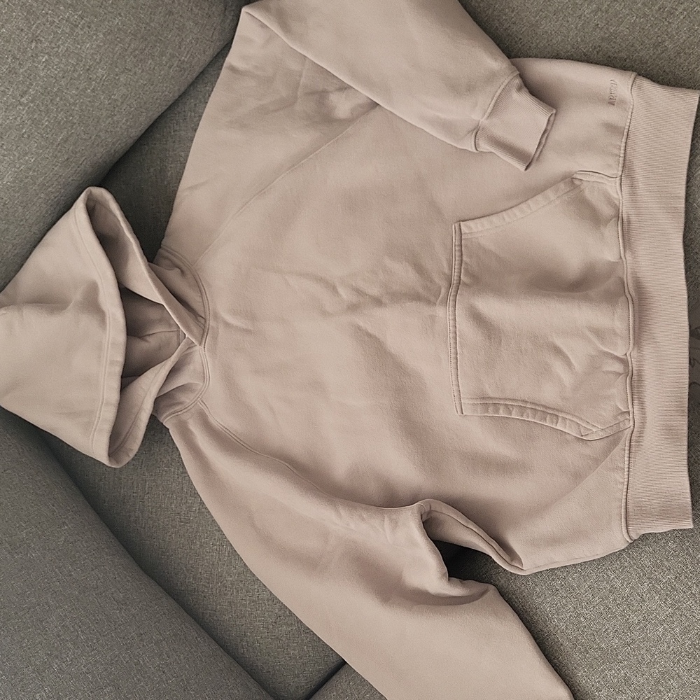 Aritzia Sweatfleece Mega Fit Hoodie “Ashen” XS